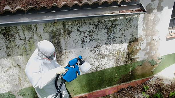 Top rated local Bathroom Mold Removal specialists in Vienna, MD
